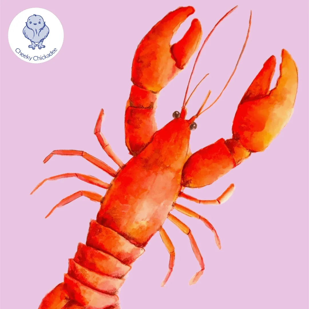 Lobster Blush Kids' Jumper